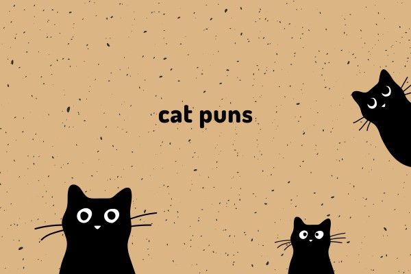 cat puns