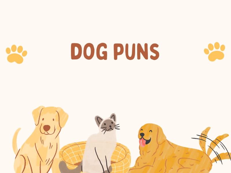 dog puns