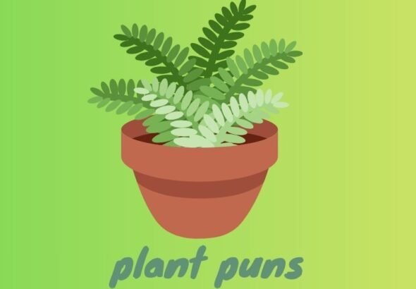 plant puns