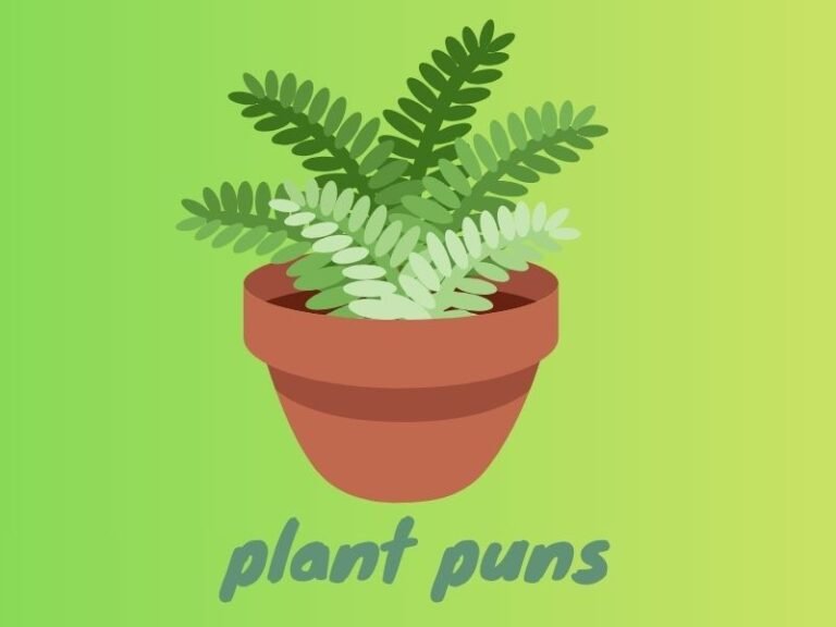 plant puns