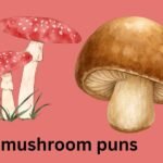 mushroom puns