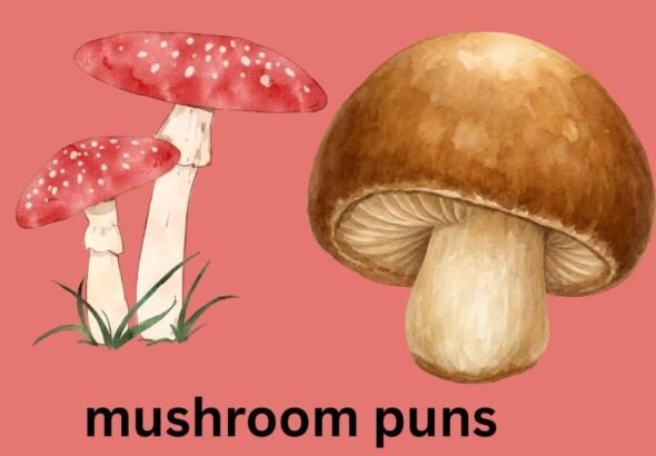 mushroom puns