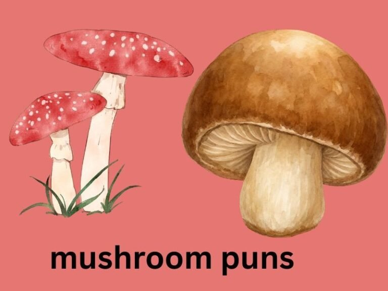 mushroom puns