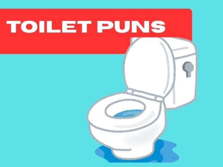 toilet puns