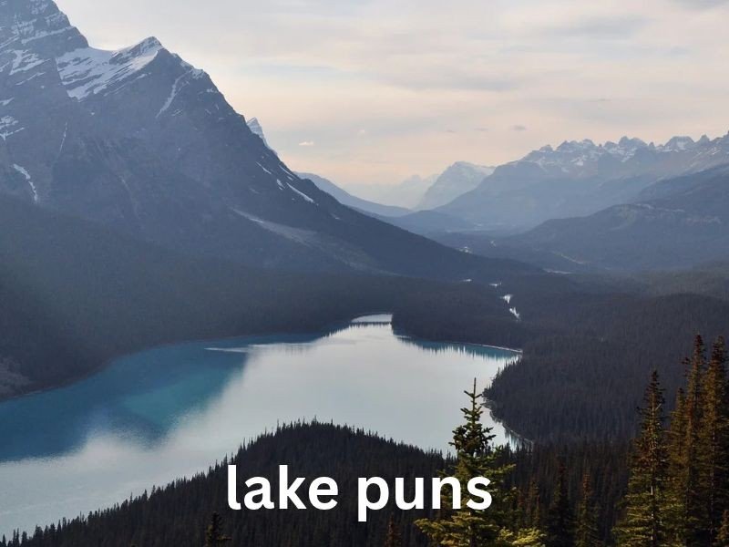 lake puns