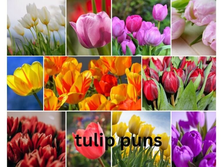 tulip puns
